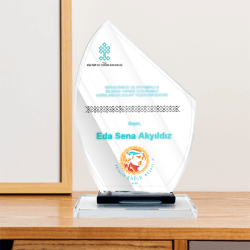 Şlt061 Ekonomik Kristal Plaket