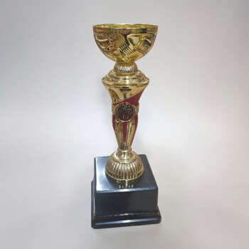 Kişiye Özel Baskılı Ve Yazılı Ödül Kupası