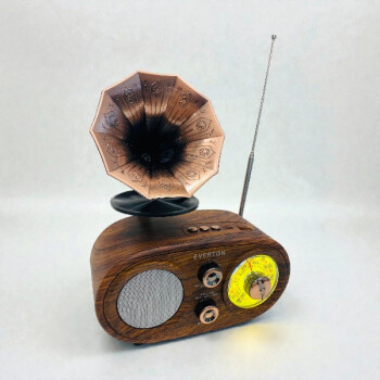 Everton Rt-746 Retro Radyo