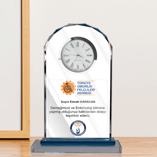 Şlt043 Ekonomik Kristal Plaket