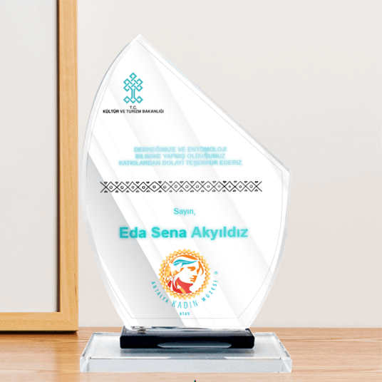 Şlt061 Ekonomik Kristal Plaket