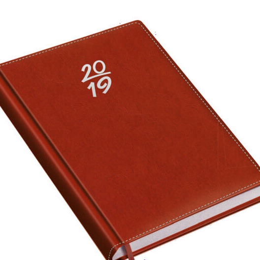 Ekonomik Suni Deri Ajanda