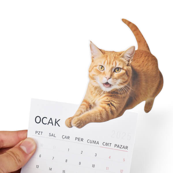 Kişiye Özel Masa Takvimi Özel Kesim görsel