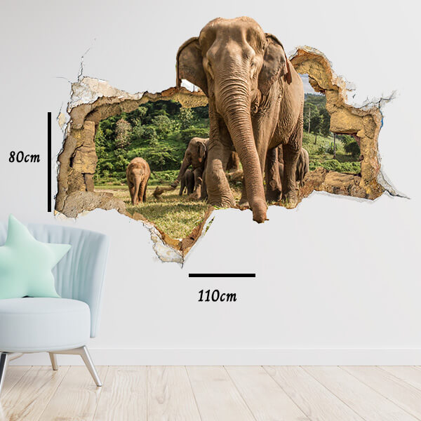 Fil 3D Duvar Sticker/Etiket