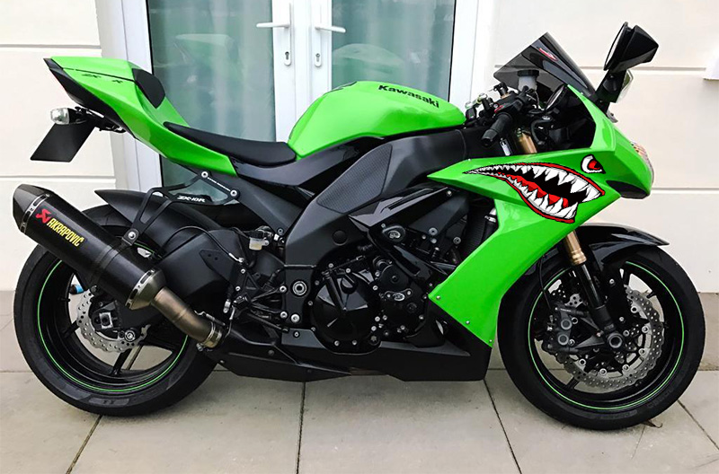 Kızgın Köpek Balığı Dişleri ve Gözü (Set) görsel