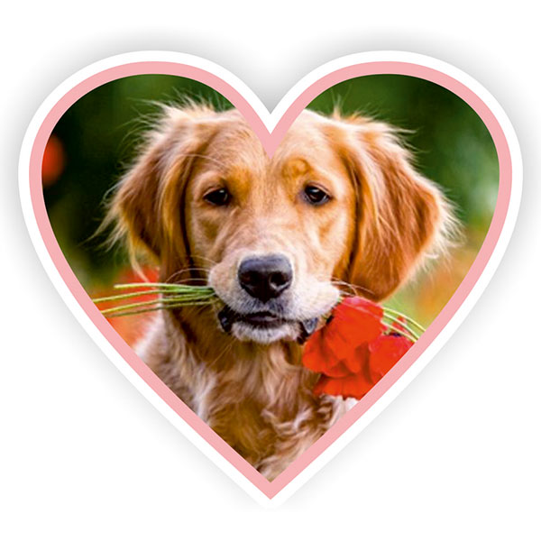 Kalp Sticker - Kendin Tasarla