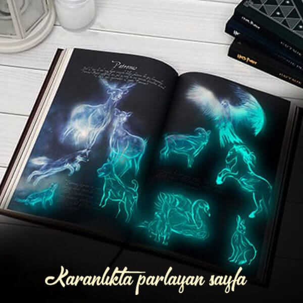 İsme Özel Harry Potter Hufflepuff Haftalık Planlayıcı