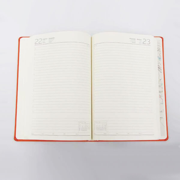 Gıpta 17x24 Zero Turuncu Günlük Ajanda - 2022