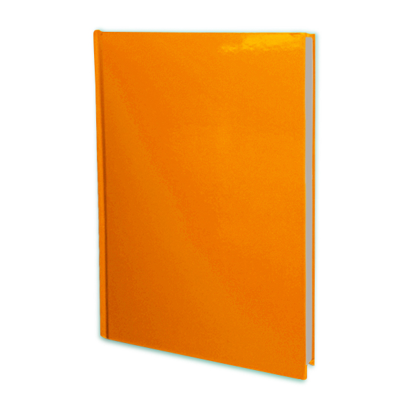 Kişiye Özel 160 Yaprak Sert Kapak 17X24 Cm Çizgili Tarihsiz Defter - Görsel 6