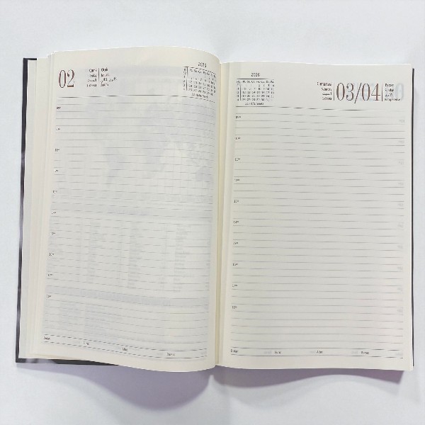 Atatürk Serisi 2026 Lizy Günlük Ajanda 17 X 24 Cm - Model 1