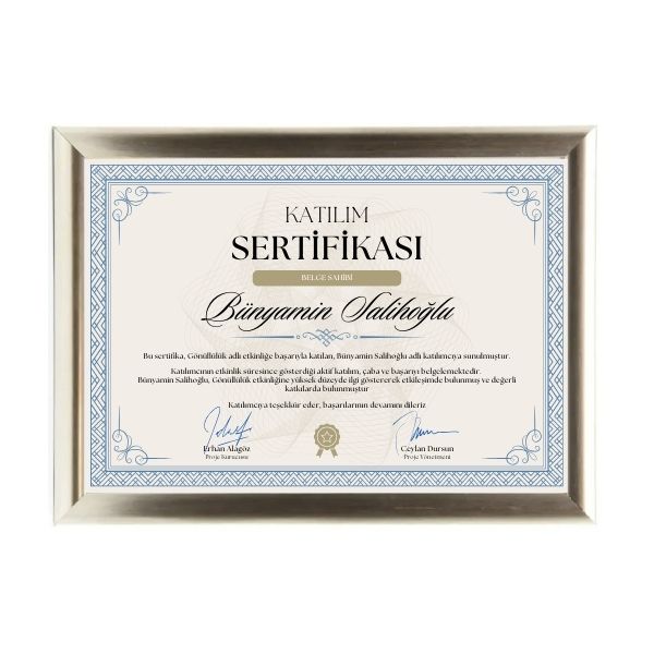 Sertifika Ve Fotoğraf Çerçevesi A4 Gümüş görsel