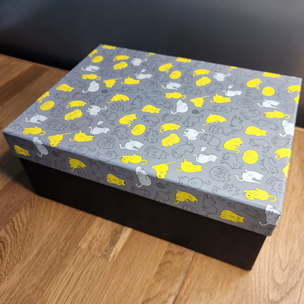 Kedi Desenli Hediye Kutusu görsel