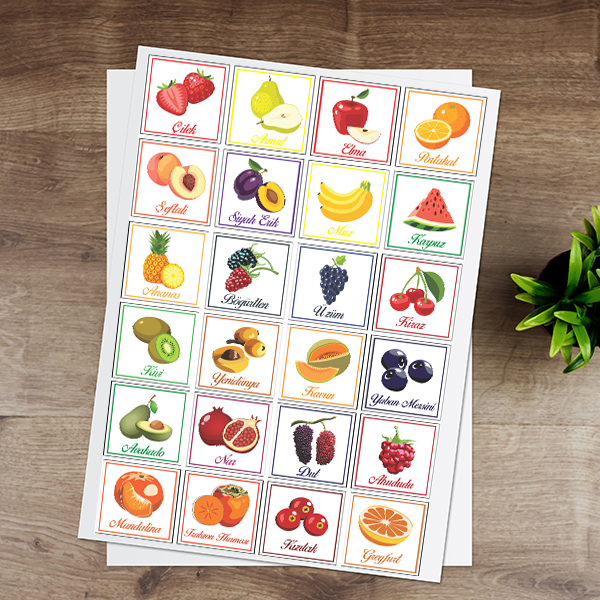 Renkli Meyveler Eğitici Sticker