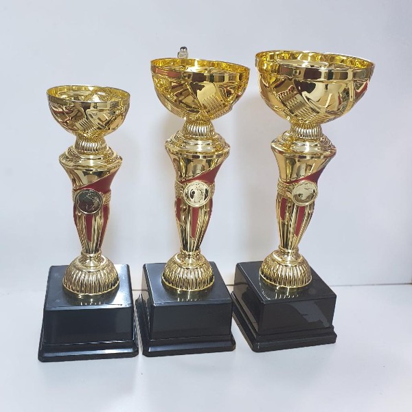 Kişiye Özel Baskılı Ve Yazılı Ödül Kupası görsel