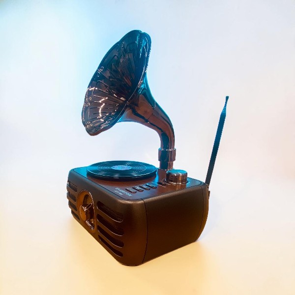 Everton Rt-704 Gramofon Görünümlü Nostaljik Retro Radyo görsel