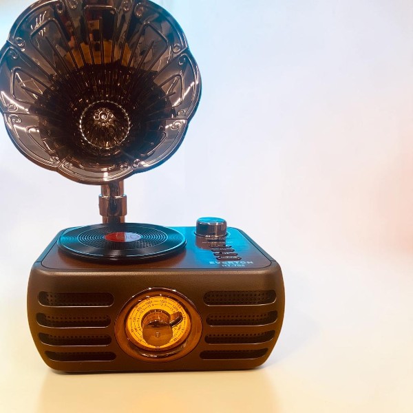 Everton Rt-704 Gramofon Görünümlü Nostaljik Retro Radyo görsel