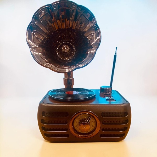 Everton Rt-704 Gramofon Görünümlü Nostaljik Retro Radyo görsel