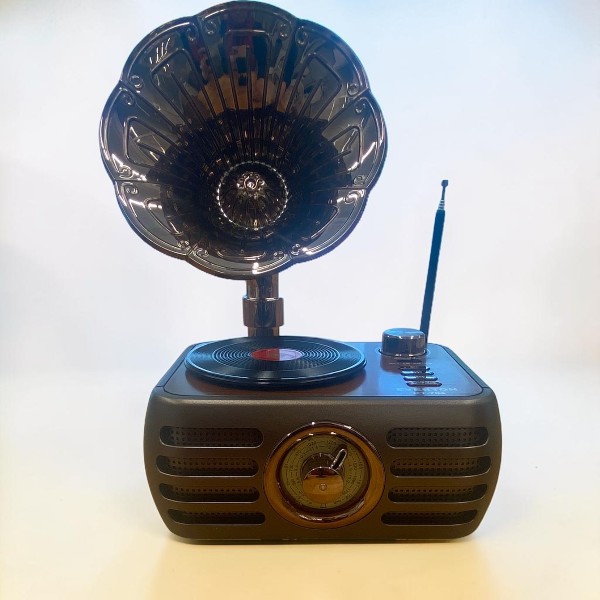 Everton Rt-704 Gramofon Görünümlü Nostaljik Retro Radyo görsel