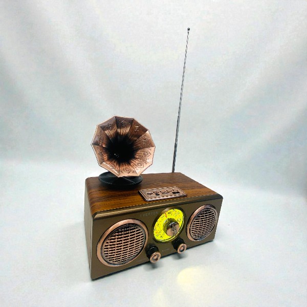 Everton Rt-748 Retro Radyo görsel