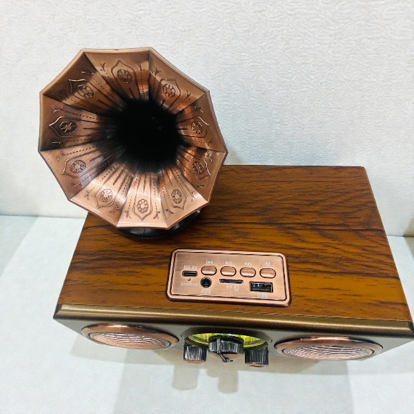 Everton Rt-748 Retro Radyo görsel