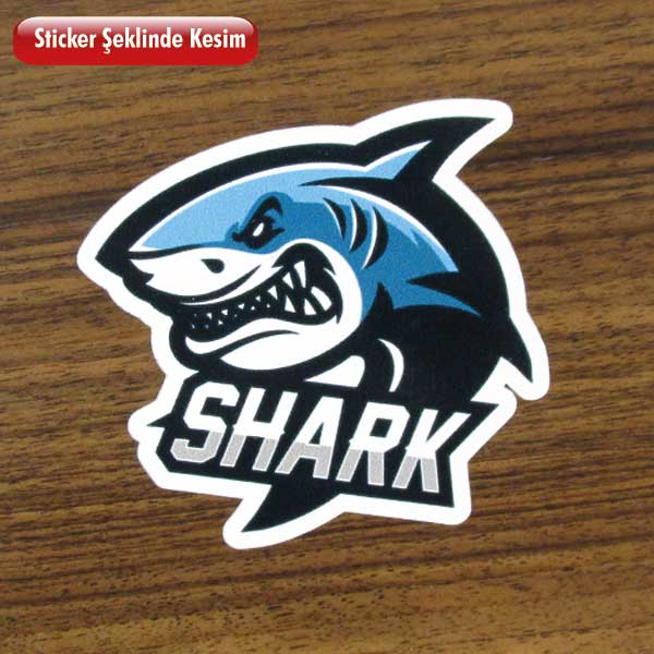 Özel Ölçü Sticker