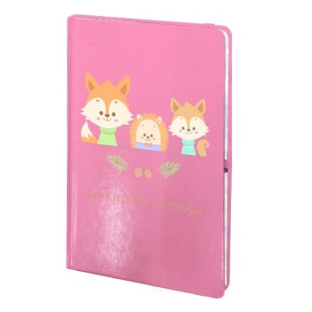 Tarihsiz Pembe Ajanda / Defter