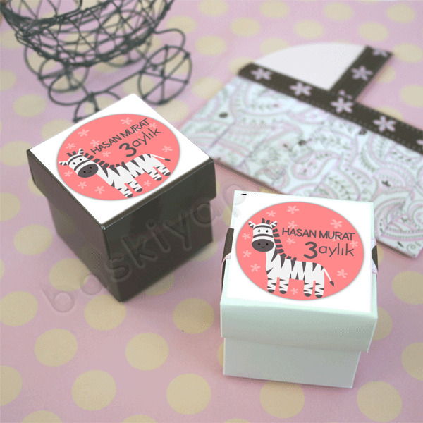 3 Aylık online tasarla