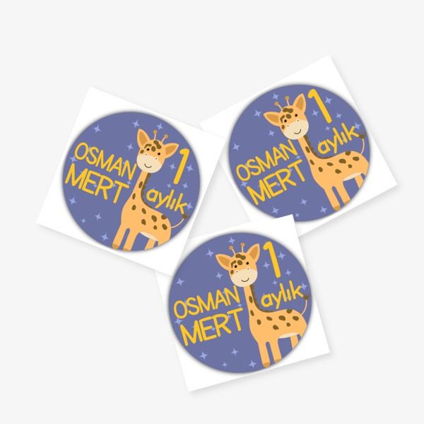 1 Aylık online tasarla