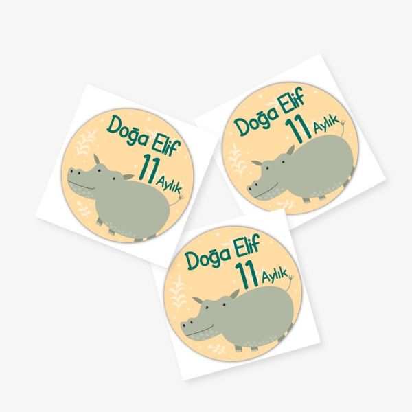 11 Aylık online tasarla