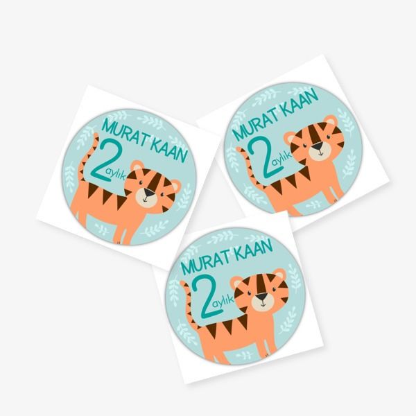 2 Aylık online tasarla