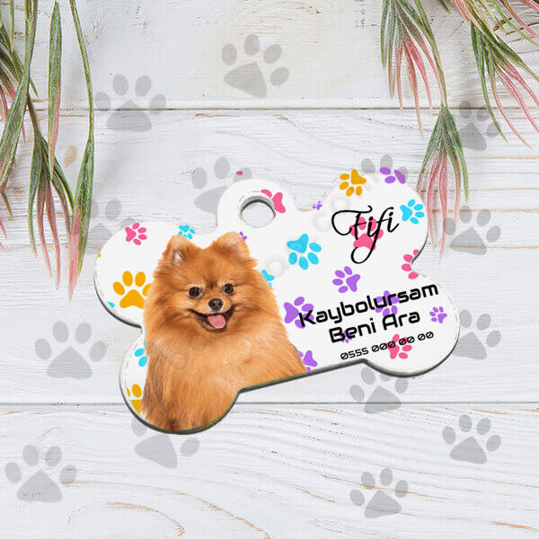 Fotoğraflı Kedi Köpek İsim Künyesi online tasarla