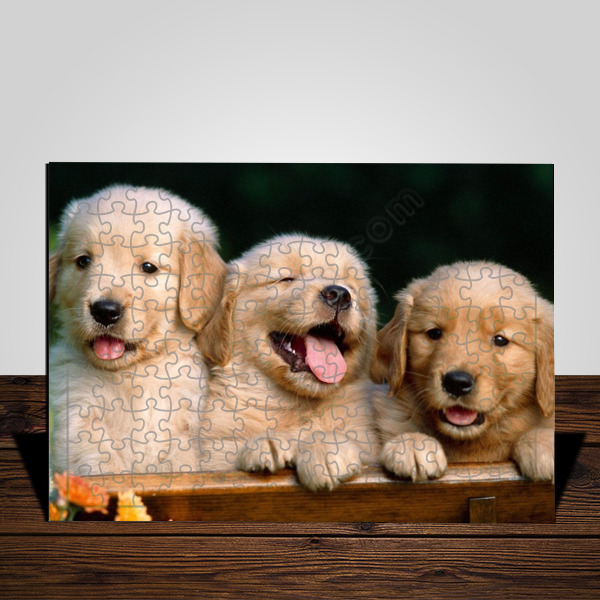 Hayvan A3 Puzzle online tasarla