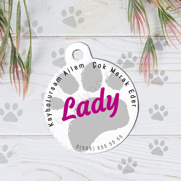 Kayboldum Kedi Köpek İsim Künyesi online tasarla