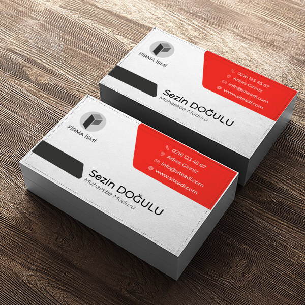 Kırmızı Grili Muhasebeci online tasarla