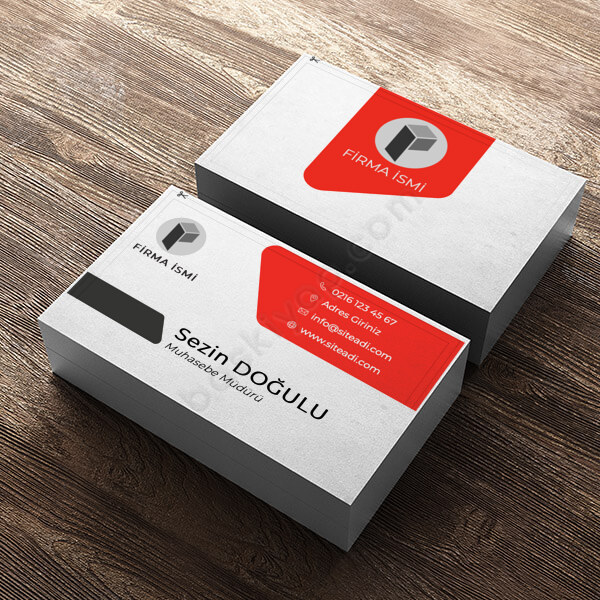 Kişiye Özel Ekonomik Muhasebeci Kartvizit online tasarla