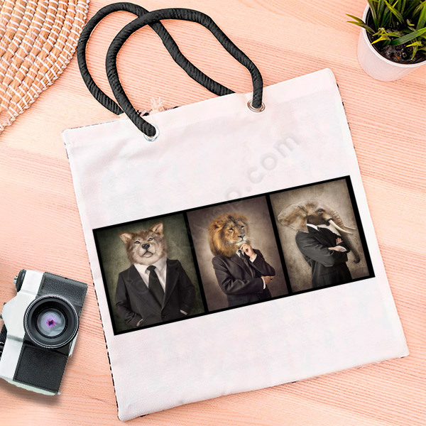 Kurt-Aslan-Fil İllüstrasyon online tasarla