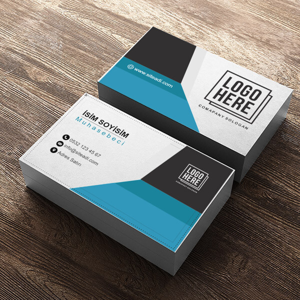 Muhasebe online tasarla