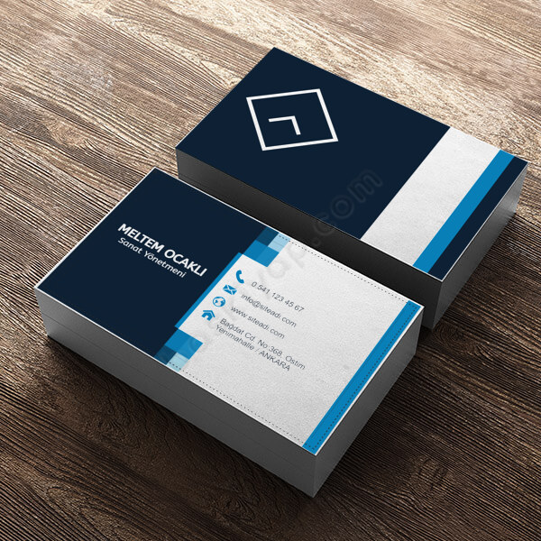 Sanat Yönetmenine Özel Standart Kartvizit online tasarla