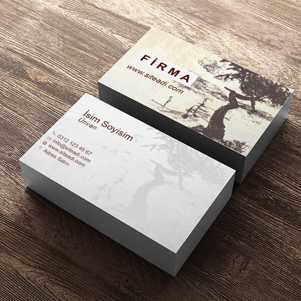 Şehir Bölge Planlamacısı online tasarla