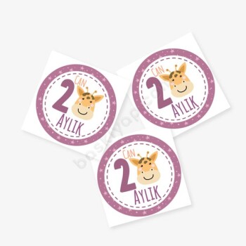 2 Aylık Bebek Etiket online tasarla