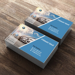 Araç Kiralama Şirketi 2 online tasarla