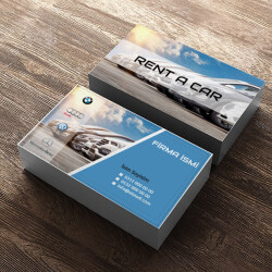 Araç Kiralama Şirketi online tasarla