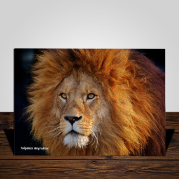 Aslan Tasarımlı A3 Puzzle online tasarla