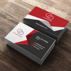 Finans Elemanı online tasarla