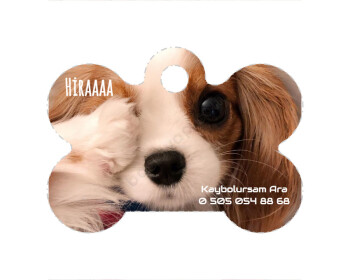 Köpeklere Özel Kemik Şekilli Künye online tasarla