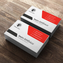 Kırmızı Grili Muhasebeci online tasarla