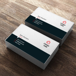 Logolu Yönetici Kartvizit online tasarla