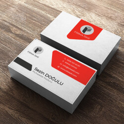 Muhasebeci online tasarla