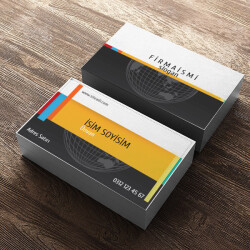 Renkli Kurumsal online tasarla