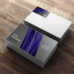 Satış Pazarlama Müdürü online tasarla